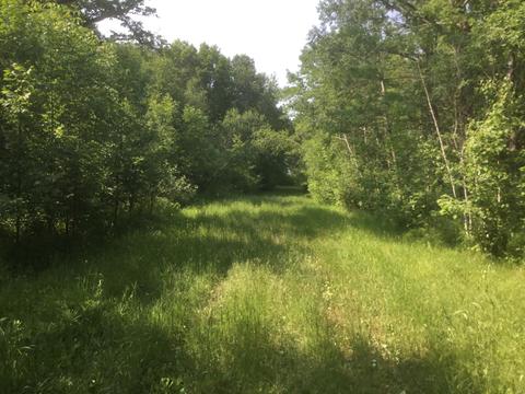 Nnn 330th Street, Bradbury Twp, MN 56359