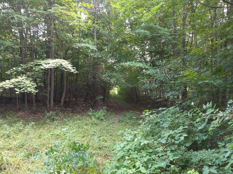 1819 230th Ave, Luck, WI 54858 photo 4