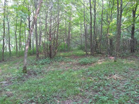 1819 230th Ave, Luck, WI 54858 photo 6