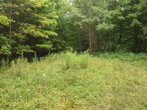 1819 230th Ave, Luck, WI 54858 photo 7