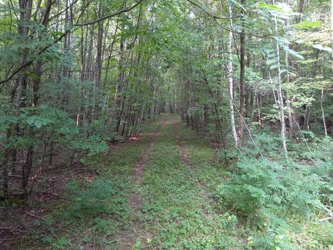1819 230th Ave, Luck, WI 54858 photo 5
