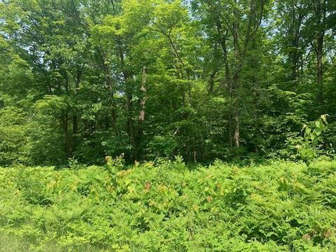 244 Freestone Road, Grand Rapids, MN 55744