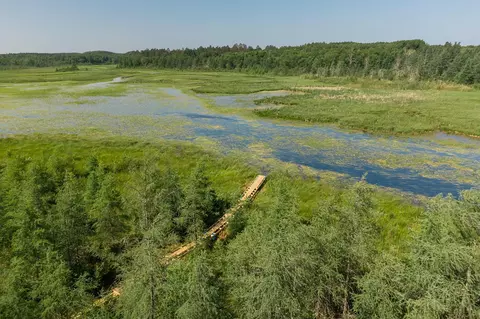 tbd Lake Hattie Dr NW, Backus, MN 56435