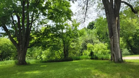 29103 176th St, Harmony, MN 55939 photo 10