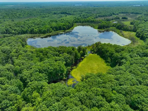 62 59 Acres 290th, Holcombe, WI 54745