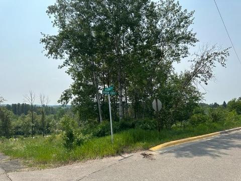 Tbd Gordon Street, Soudan, MN 55782