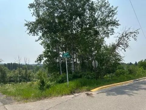 Tbd Gordon Street, Soudan, MN 55782