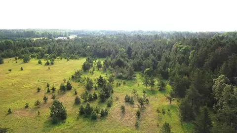 Tbd Aspen Avenue Nw, Bemidji, MN 56601