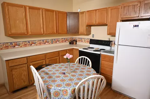 12841 321st Ave, Grey Eagle, MN 56336 photo 6