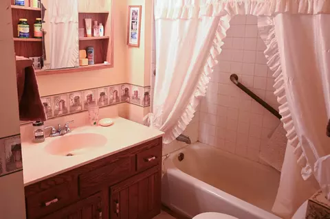 12841 321st Ave, Grey Eagle, MN 56336 photo 7