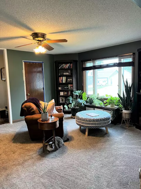 245 4th St SW, Plainview, MN 55964 photo 8