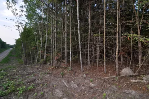 Tbd 299th, Akeley, MN 56433 photo 6