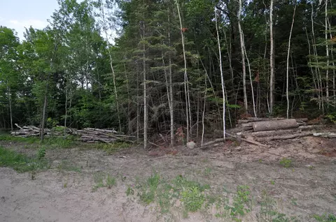 Tbd 299th, Akeley, MN 56433 photo 2