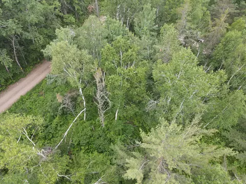 Tbd Rapala Drive Ne, Outing, MN 56626 photo 10