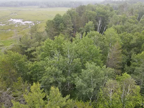 Tbd Rapala Drive Ne, Outing, MN 56626 photo 11