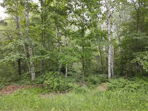 Tbd Rapala Drive Ne, Outing, MN 56626 photo 5