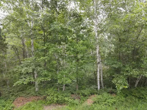 Tbd Rapala Drive Ne, Outing, MN 56626 photo 6