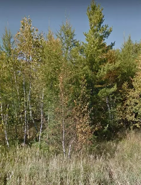 Nnnn Bachelor Square, Meadowlands, MN 55765