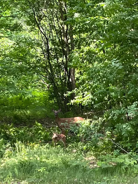 n9949 Gardner Lake Road, Springbrook, WI 54875 photo 22