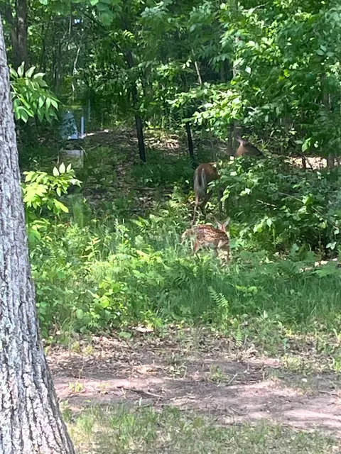 n9949 Gardner Lake Road, Springbrook, WI 54875 photo 18