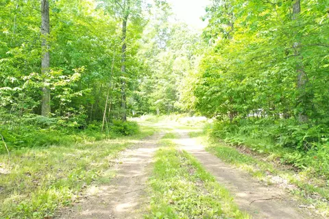n9949 Gardner Lake Road, Springbrook, WI 54875 photo 27