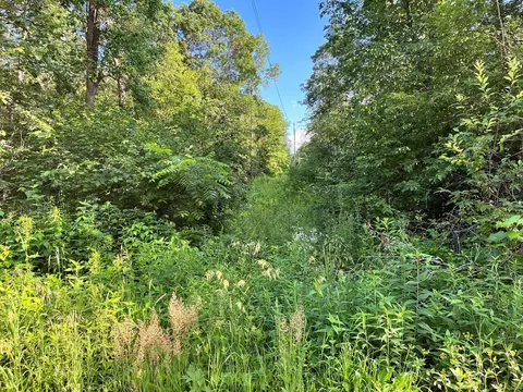 Nn Lake Sylvia Road, Melrose Twp, MN 56352