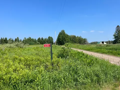 12357 Grangruth Rd, Floodwood Twp, MN 55736