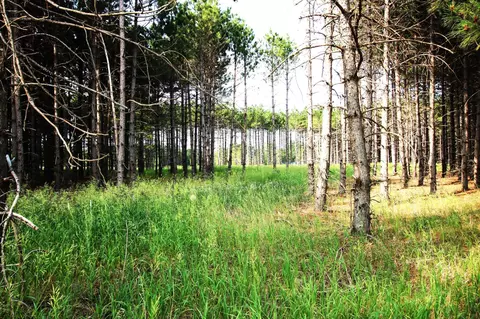 Lot 4 Vogel Drive, Staples, MN 56479