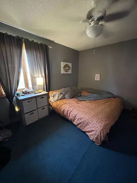802 4th St, Lyle, MN 55953 photo 11