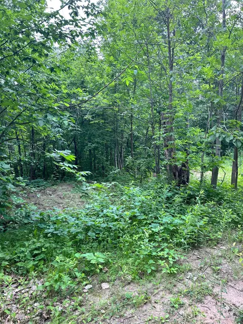 1500 Timber Ln, Cushing, MN 56443 photo 2