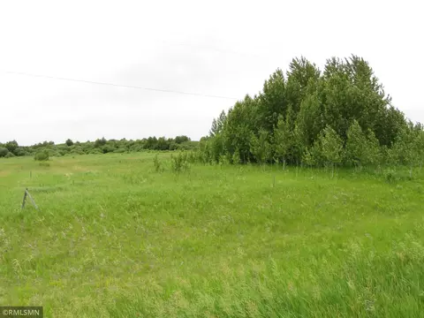 Tbd Co Rd 31, Malung Twp, MN 56751