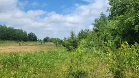 Tbd Linberg Road, Deerwood Twp, MN 56444