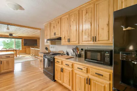 41565 Turtle Lake Rd, Bigfork, MN 56628 photo 7