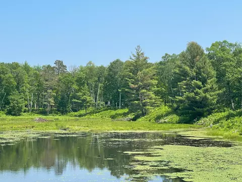 Tbd Pine Bay Trail, Crosslake, MN 56442
