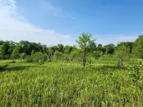 507 W Gilbertson St, Battle Lake, MN 56515