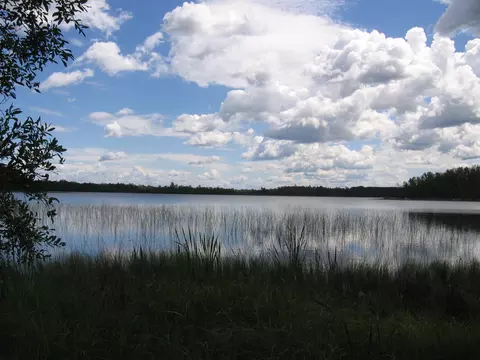 Nnn NW Evergreen Drive, Woodrow Twp, MN 56452