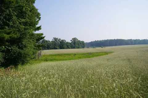 0 Old A Rd, Scott Twp, WI 54801