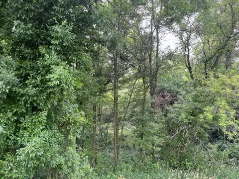 Nnn County Road G, Eureka Center, WI 54858