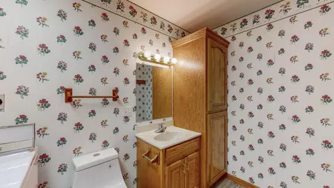 515 Spring St, Kenyon, MN 55946 photo 28