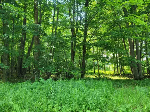 00 Pleasant View Trl, Big Bend Twp, WI 54757