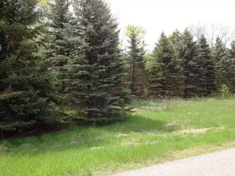 40507 Pine View Dr, Sauk Centre, MN 56378