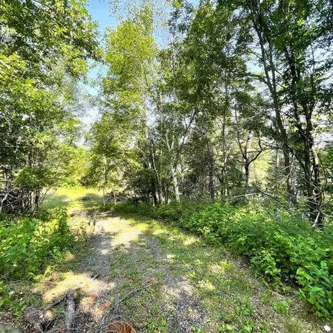 tbd Highway 11 E, International Falls, MN 56649