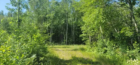 Nnn Larsen Rd, Hayward, WI 54843