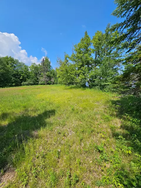lot2 Hooper Creek Loop, Baudette, MN 56623