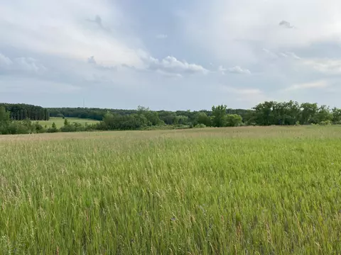 Lot 1 Block 2 Tasha Drive, Ida Twp, MN 56332