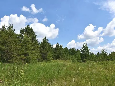 123 Gateway Dr, Akeley, MN 56433