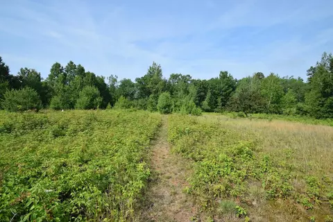 27984 Kovarik Rd, Webster, WI 54893 photo 35
