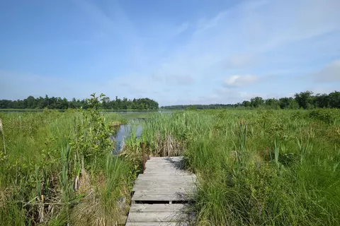 27984 Kovarik Rd, Webster, WI 54893 photo 28