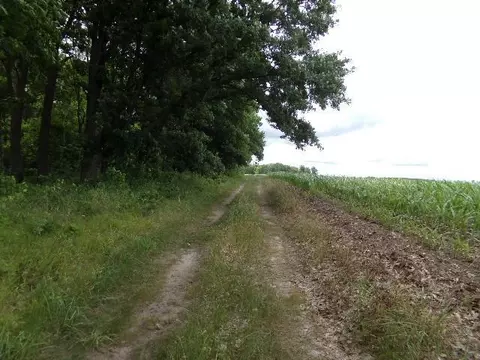 Nnnn County Rd. 9, Staples Twp, MN 56479