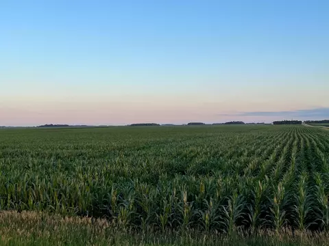 tbd 840th St, West Heron Lake Twp, MN 56161
